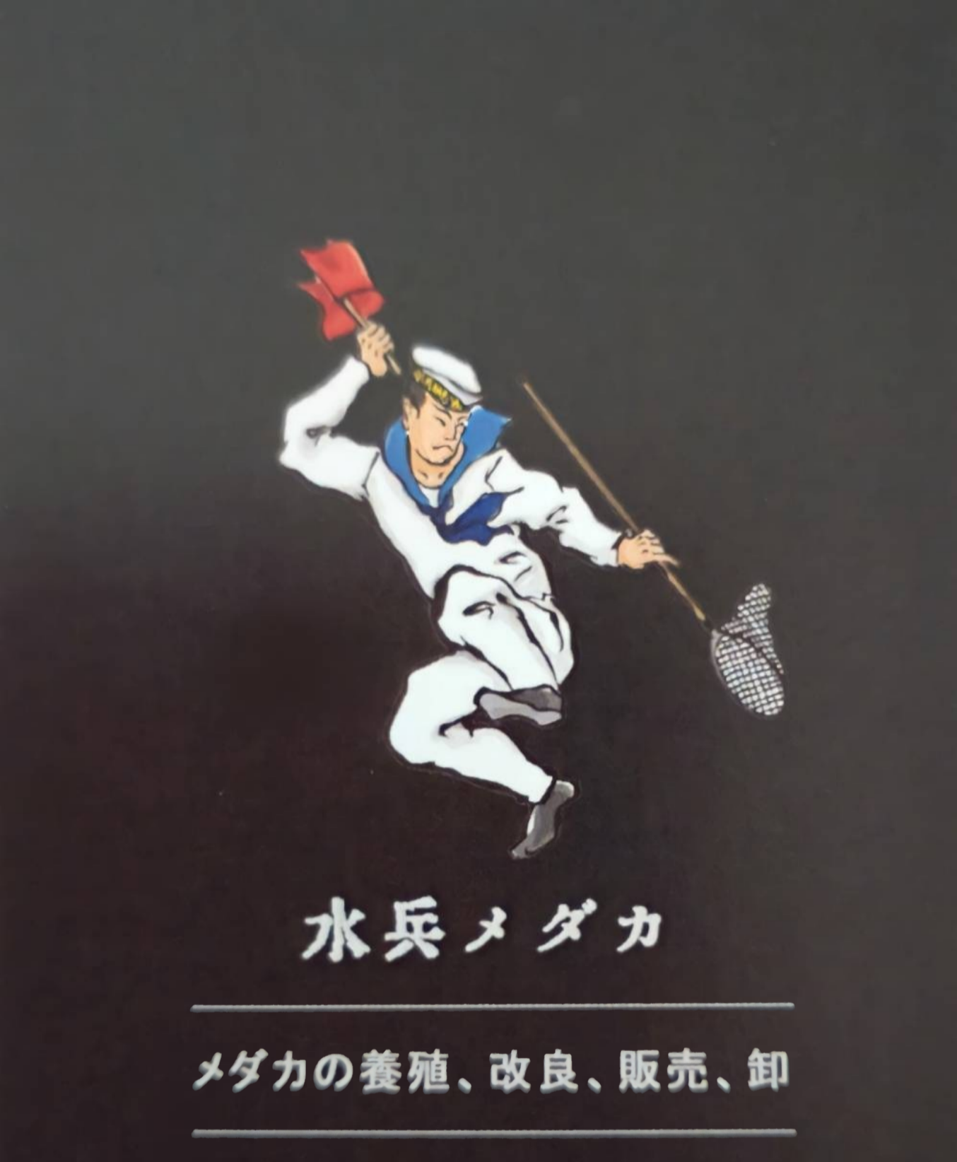 佐治石〈17〉【Taiyoメダカ】 お値下げ可能】佐治石No77 景観石 水石 アクアリウム【Taiyoメダカ】